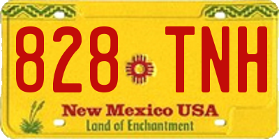 NM license plate 828TNH