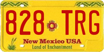NM license plate 828TRG