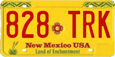 NM license plate 828TRK