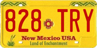 NM license plate 828TRY