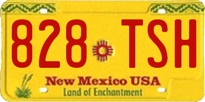 NM license plate 828TSH