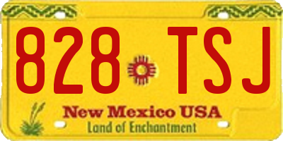 NM license plate 828TSJ