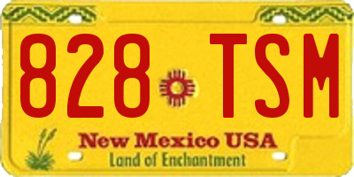 NM license plate 828TSM