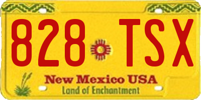 NM license plate 828TSX