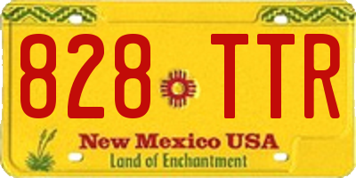 NM license plate 828TTR