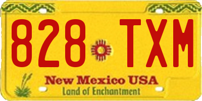 NM license plate 828TXM