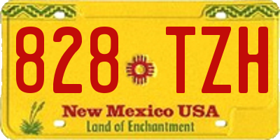 NM license plate 828TZH