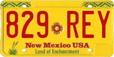 NM license plate 829REY