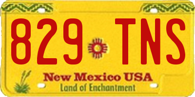 NM license plate 829TNS