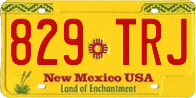 NM license plate 829TRJ