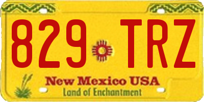 NM license plate 829TRZ