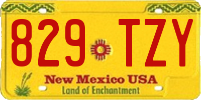NM license plate 829TZY