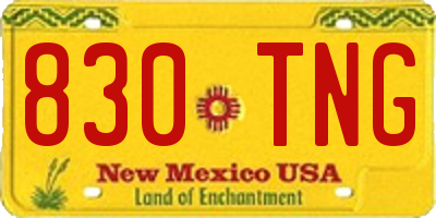 NM license plate 830TNG