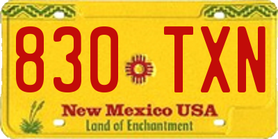 NM license plate 830TXN