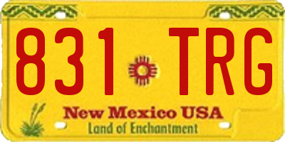NM license plate 831TRG