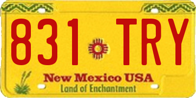 NM license plate 831TRY