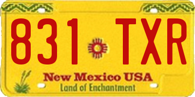 NM license plate 831TXR