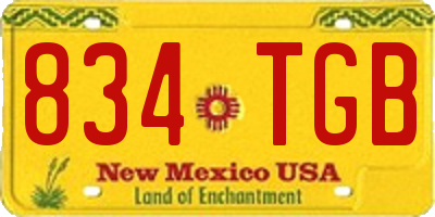 NM license plate 834TGB