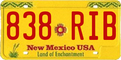 NM license plate 838RIB