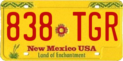 NM license plate 838TGR