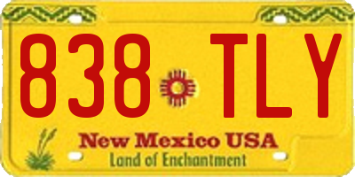 NM license plate 838TLY