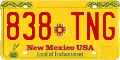 NM license plate 838TNG