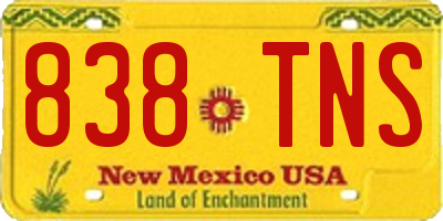 NM license plate 838TNS