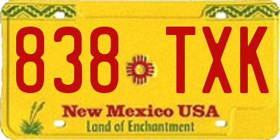 NM license plate 838TXK