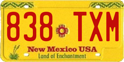 NM license plate 838TXM