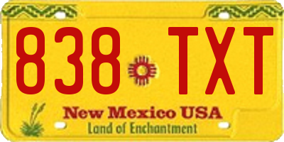 NM license plate 838TXT