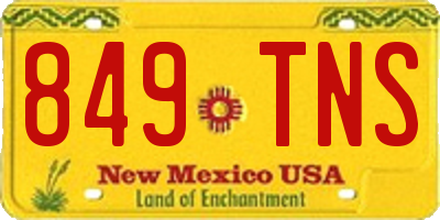 NM license plate 849TNS