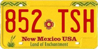 NM license plate 852TSH