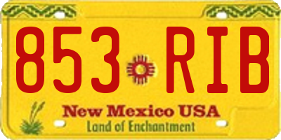 NM license plate 853RIB