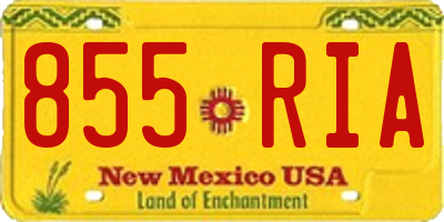 NM license plate 855RIA