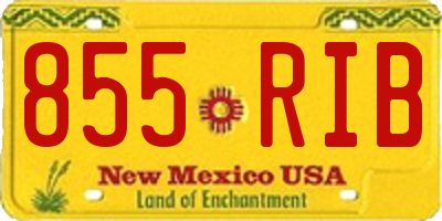 NM license plate 855RIB