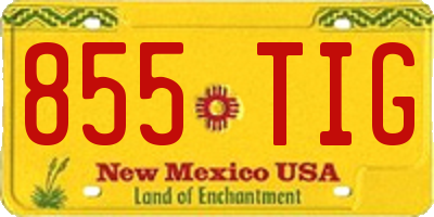 NM license plate 855TIG