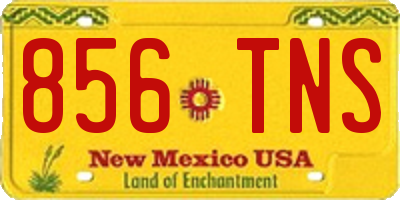 NM license plate 856TNS