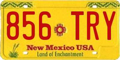 NM license plate 856TRY