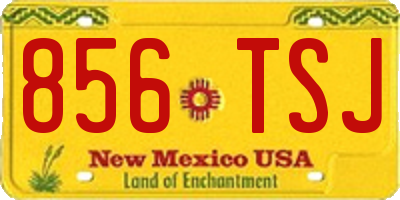 NM license plate 856TSJ