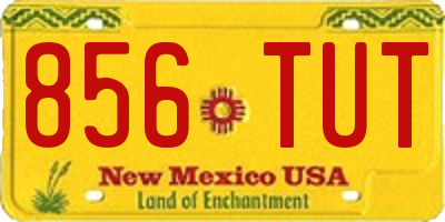 NM license plate 856TUT