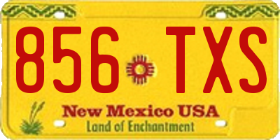 NM license plate 856TXS