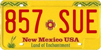 NM license plate 857SUE