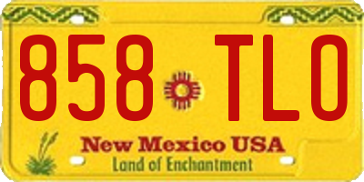 NM license plate 858TLO