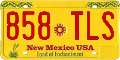 NM license plate 858TLS