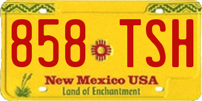 NM license plate 858TSH