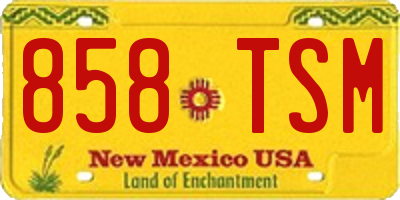 NM license plate 858TSM