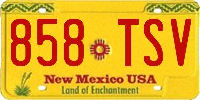 NM license plate 858TSV