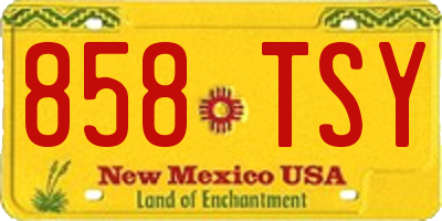 NM license plate 858TSY
