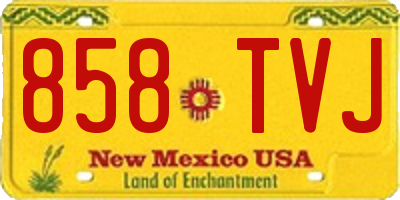 NM license plate 858TVJ