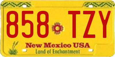 NM license plate 858TZY
